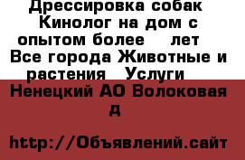 Дрессировка собак (Кинолог на дом с опытом более 10 лет) - Все города Животные и растения » Услуги   . Ненецкий АО,Волоковая д.